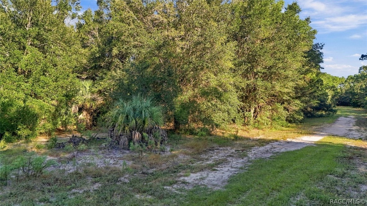 8583 N San Filippo Loop, Crystal River, FL 34428