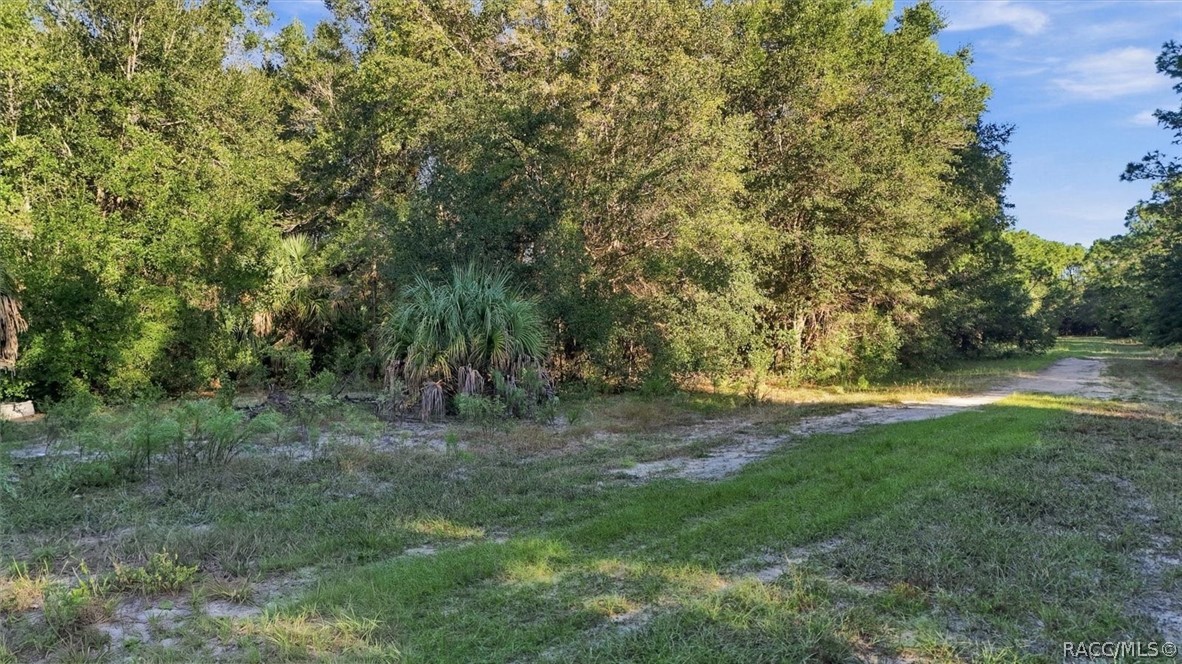 8583 N San Filippo Loop, Crystal River, FL 34428