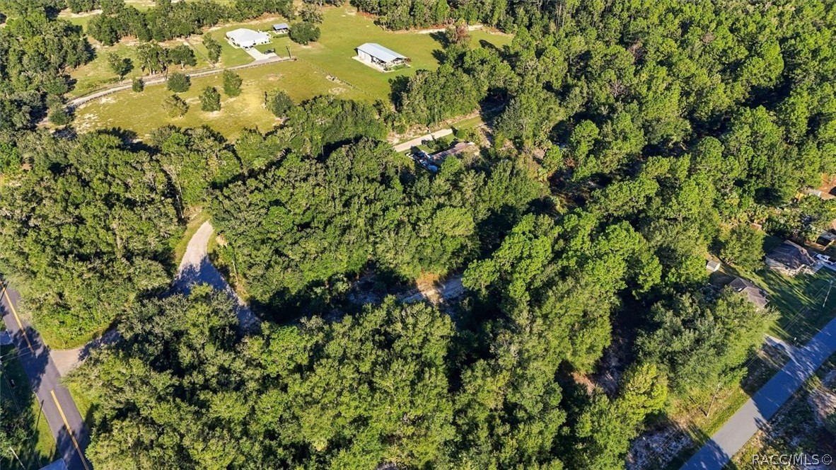 8583 N San Filippo Loop, Crystal River, FL 34428