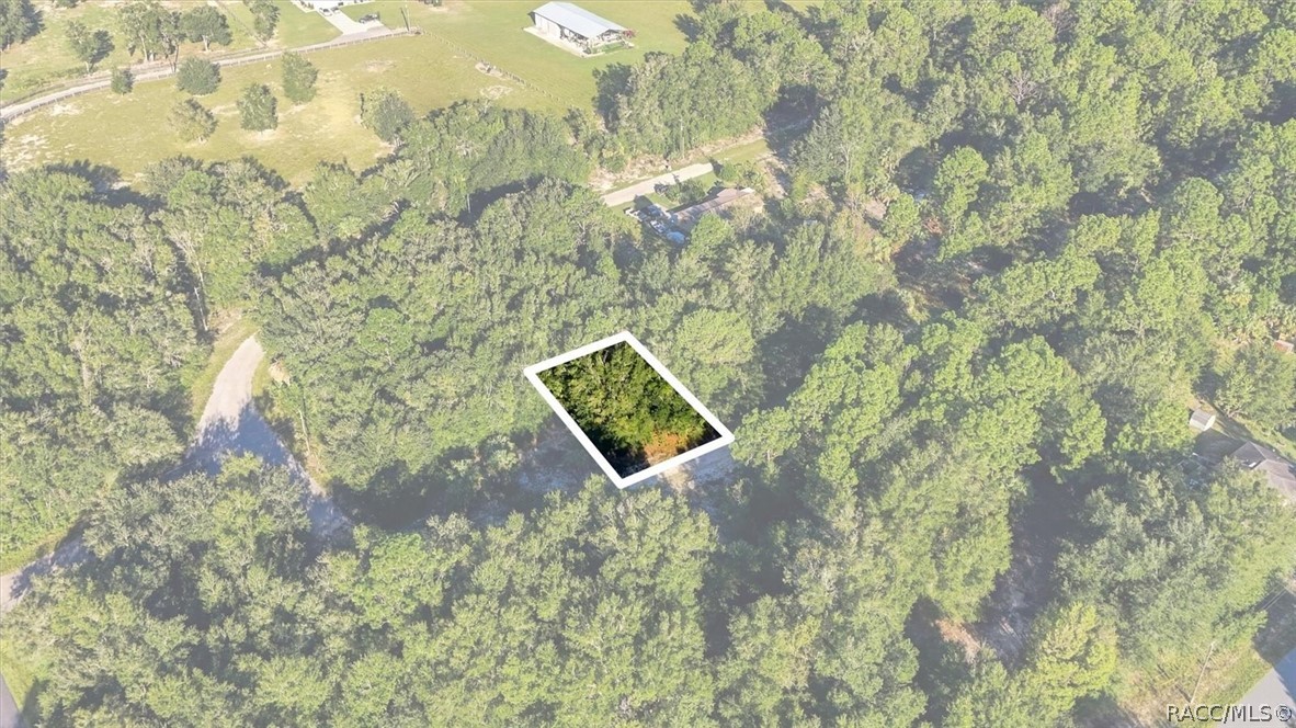 8583 N San Filippo Loop, Crystal River, FL 34428