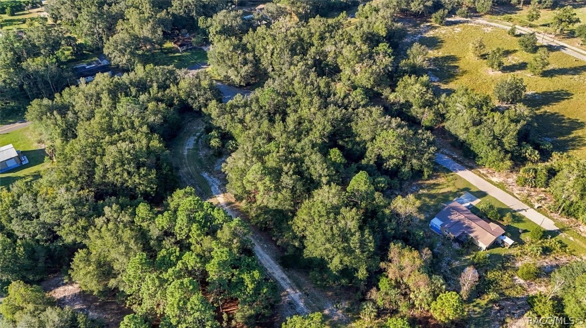 8583 N San Filippo Loop, Crystal River, FL 34428
