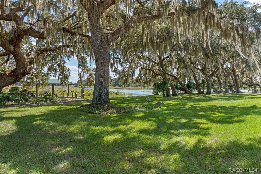 7728 E Allen Drive, Inverness, FL 34450