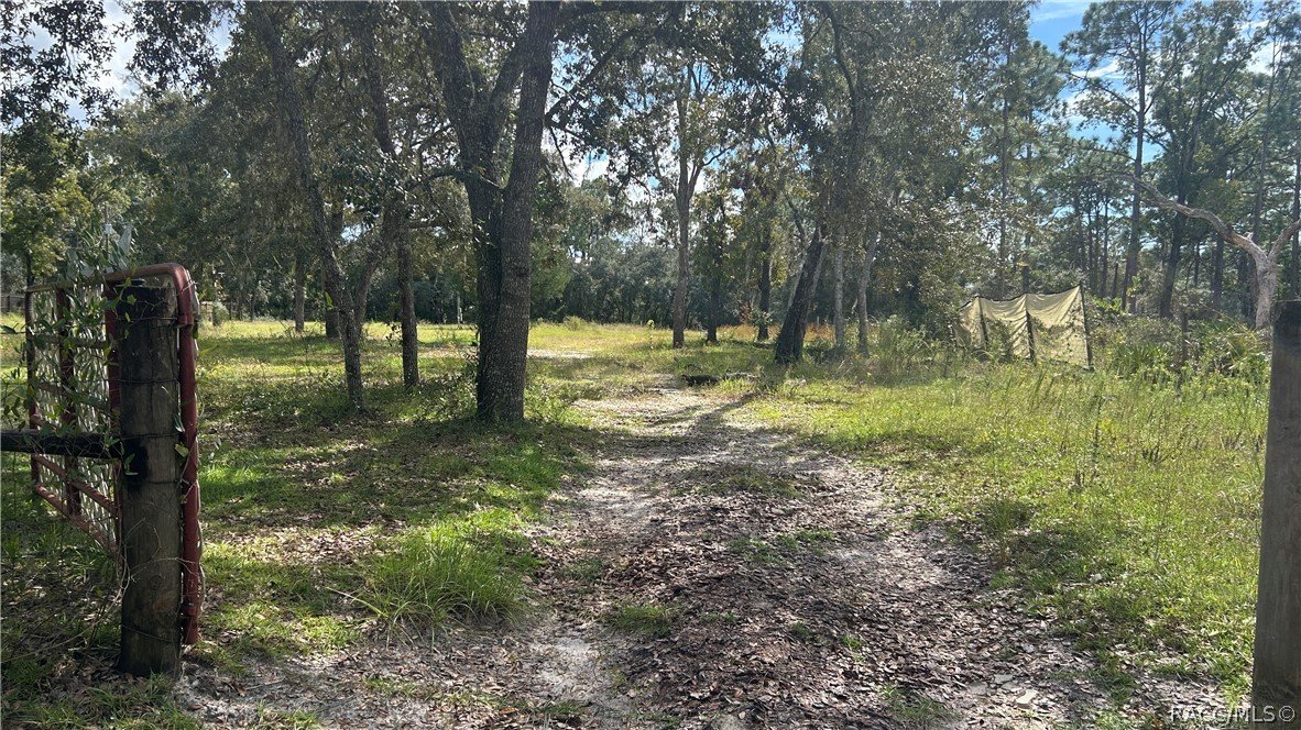 6548 W Oaklawn Street, Homosassa, FL 34446