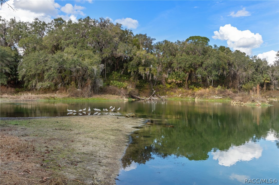 Community Lake
