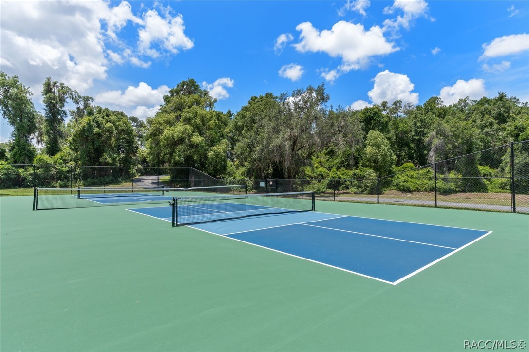 Pickleball and Tennis