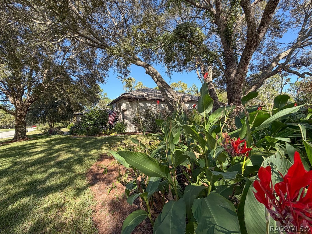 Beautiful landscaping