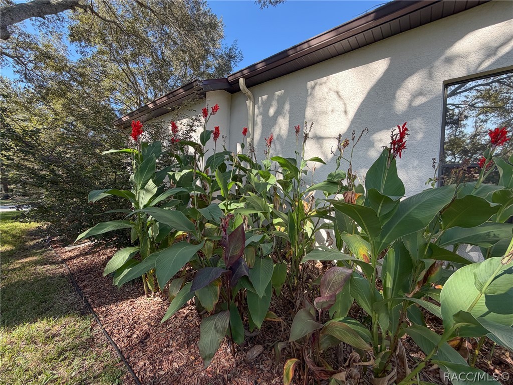 Side Exterior