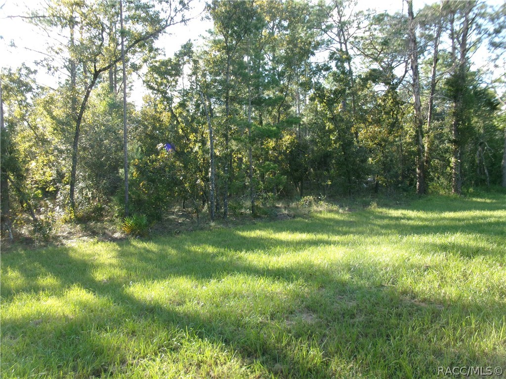 32 Pagoda Drive, Homosassa, FL 34446