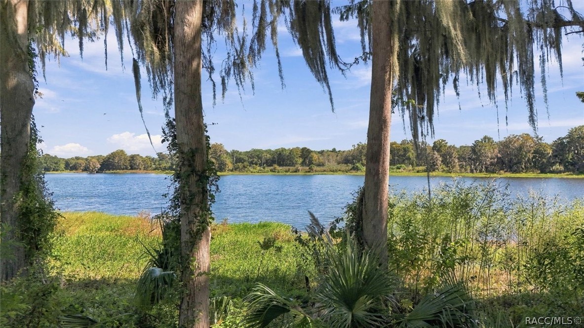 1405 S Waterview Drive, Inverness, FL 34450