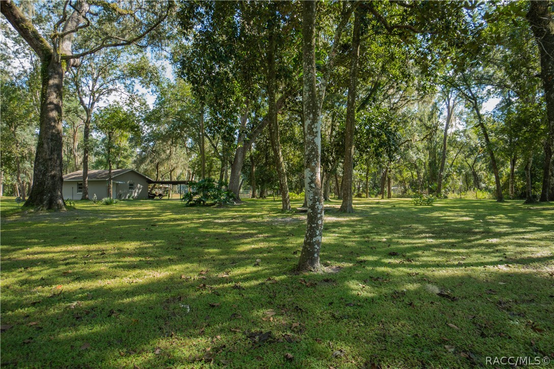 11105 E Ownbey Court, Floral City, FL 34436