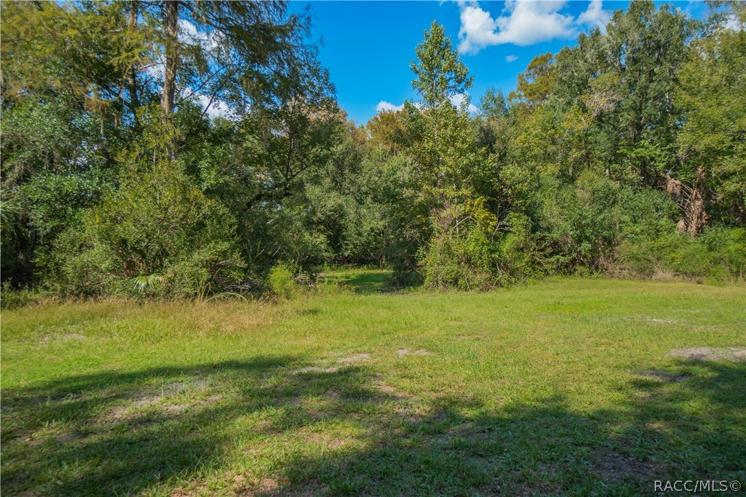 11105 E Ownbey Court, Floral City, FL 34436