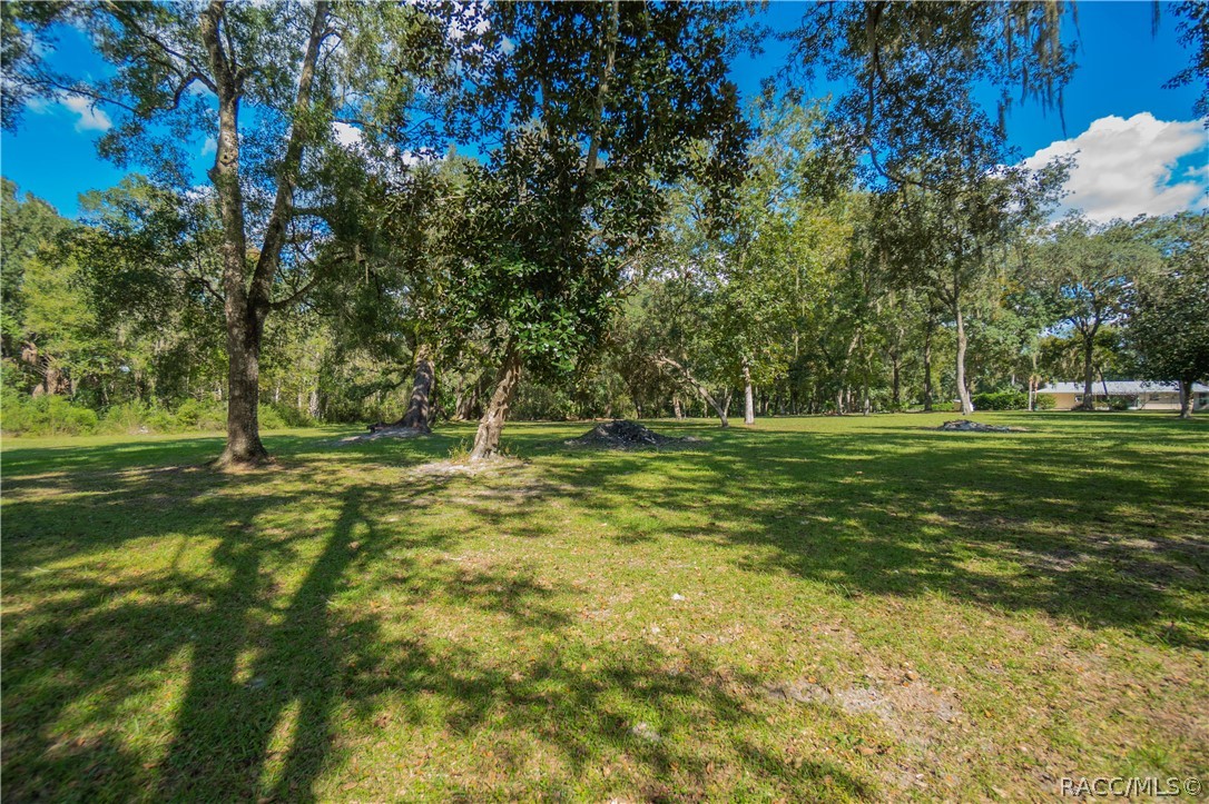 11105 E Ownbey Court, Floral City, FL 34436