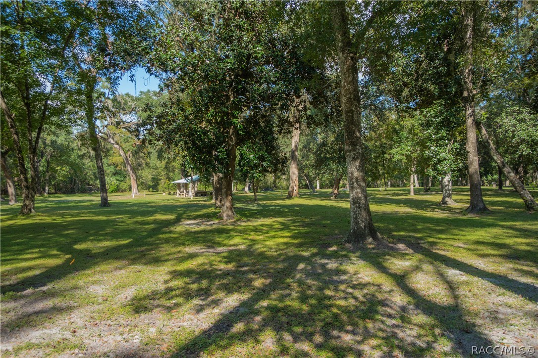 11105 E Ownbey Court, Floral City, FL 34436