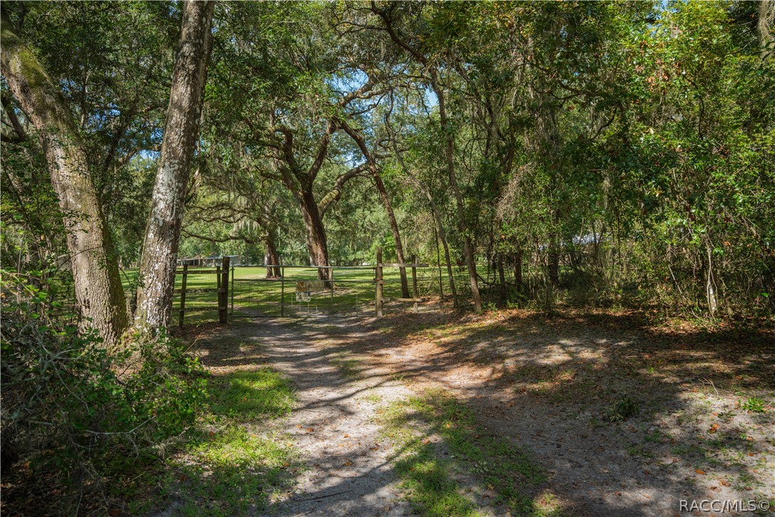 11105 E Ownbey Court, Floral City, FL 34436