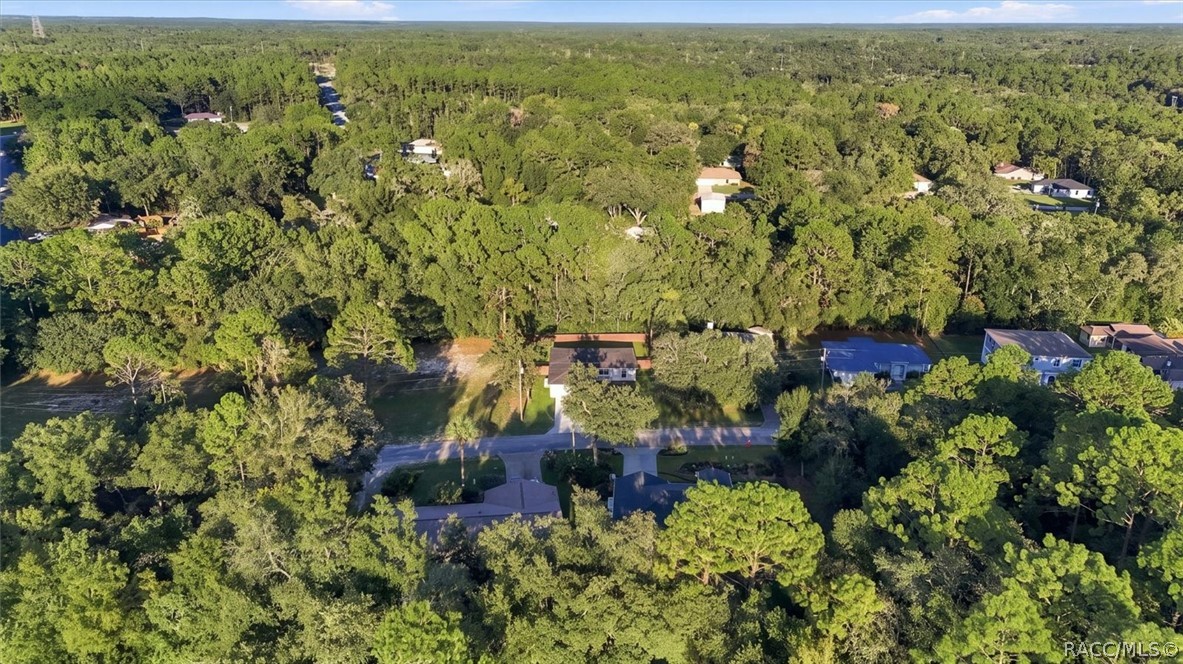 9025 N Hammond Way, Citrus Springs, FL 34434