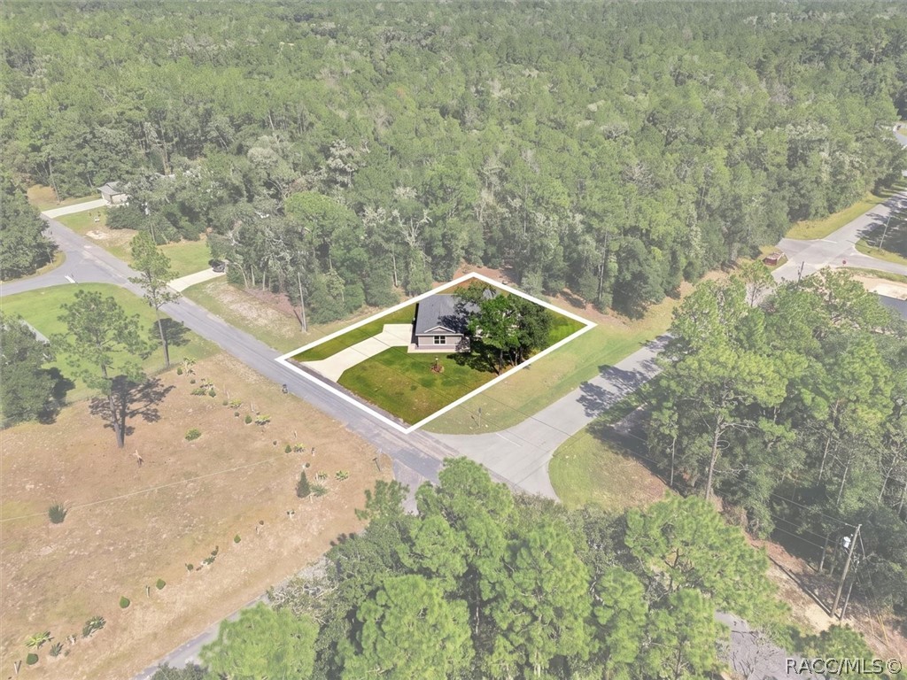 9535 N Aquarius Drive, Citrus Springs, FL 34434