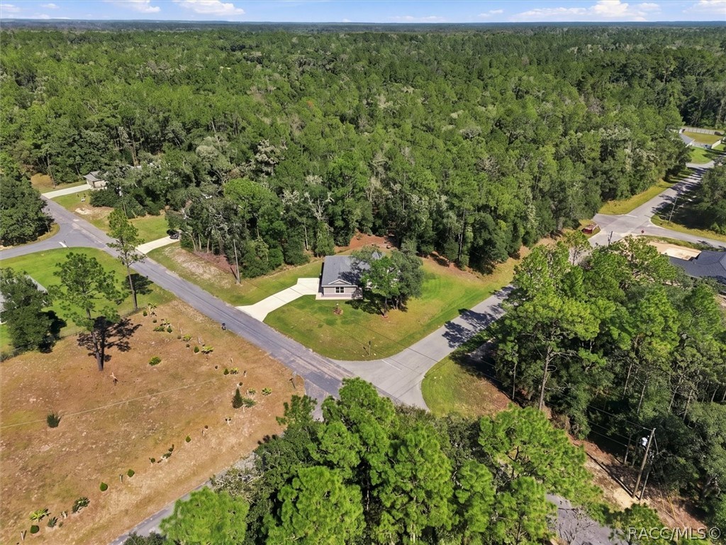 9535 N Aquarius Drive, Citrus Springs, FL 34434