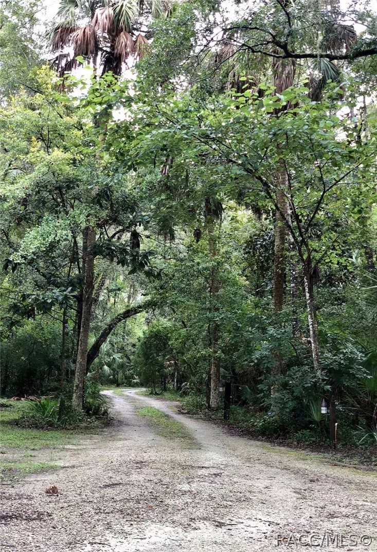 398 S Winterset Avenue, Crystal River, FL 34429