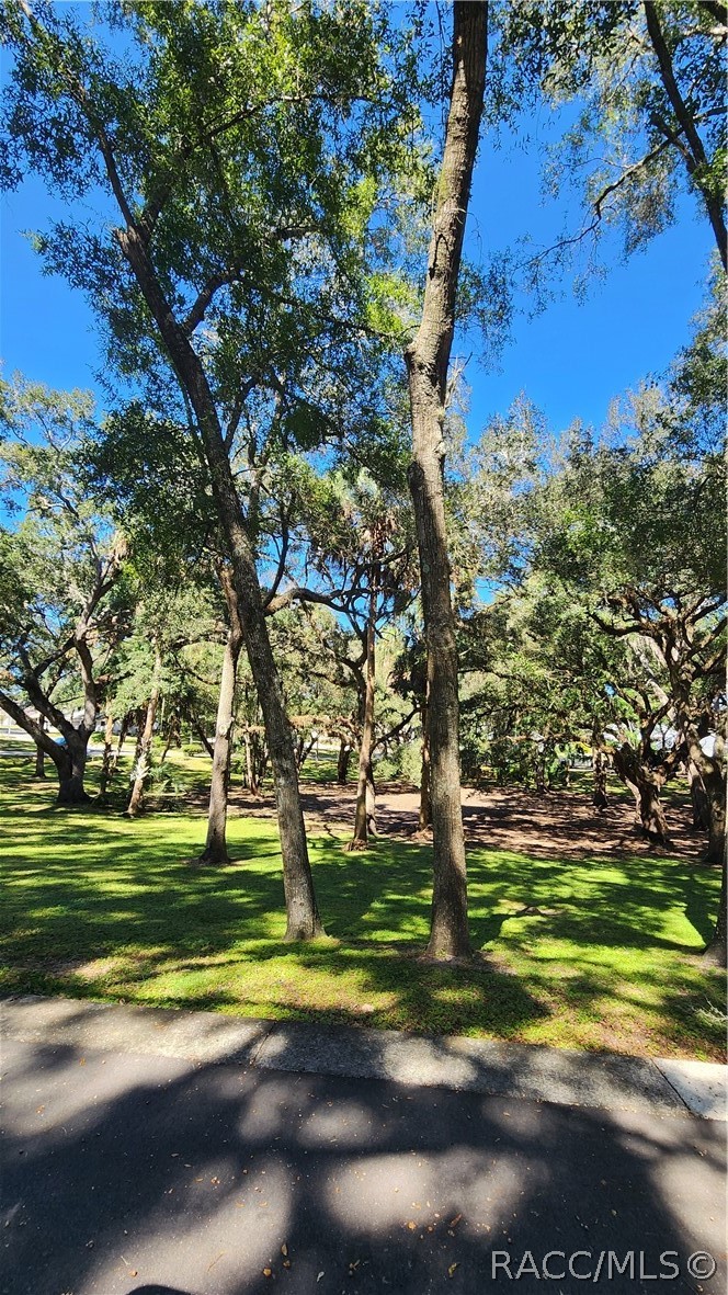 3950 N Huckleberry Point, Beverly Hills, FL 34465