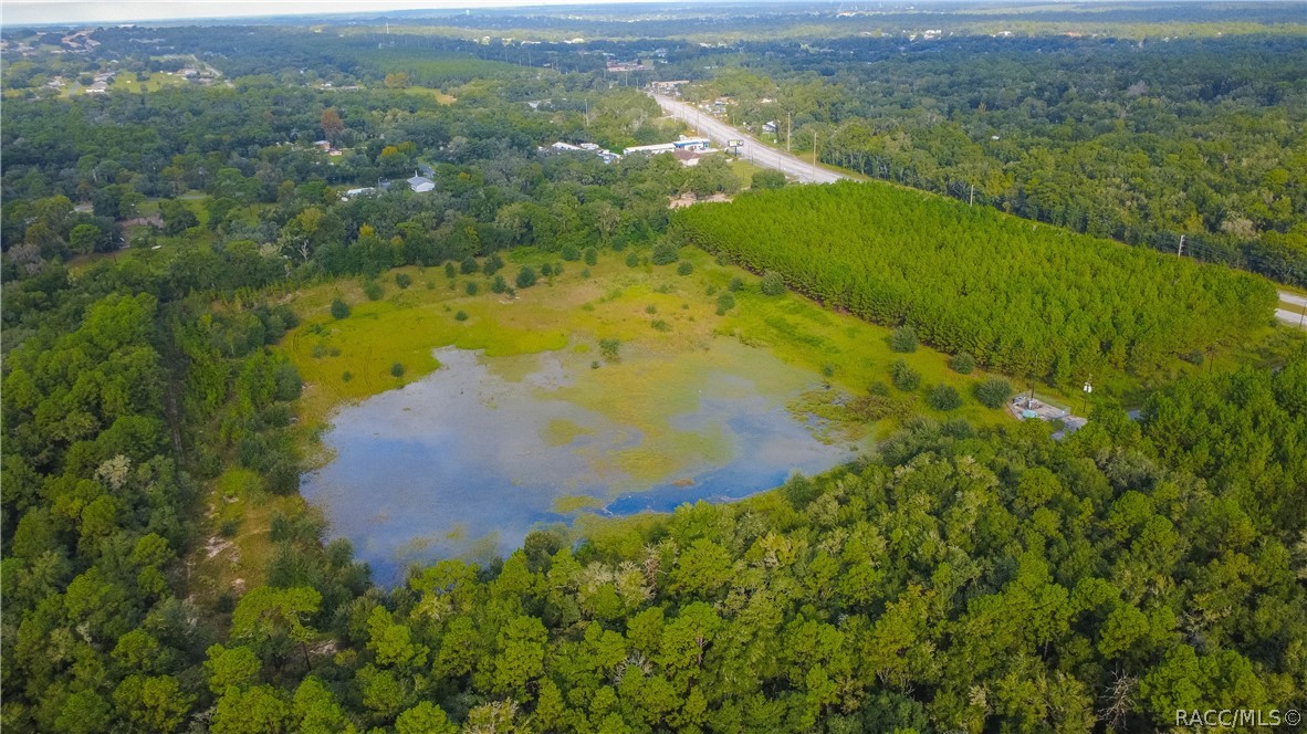 1620 E Norvell Bryant Highway, Hernando, FL 34442