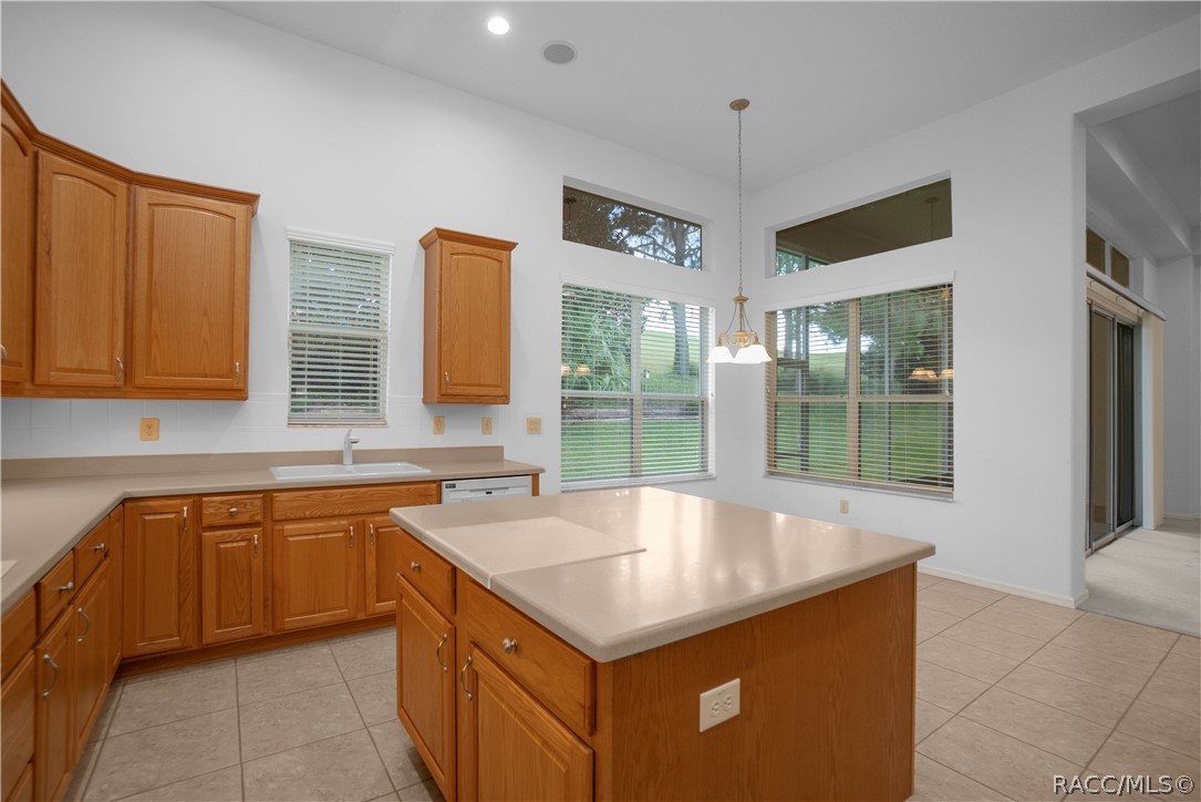 1853 N Eagle Chase Drive, Hernando, FL 34442