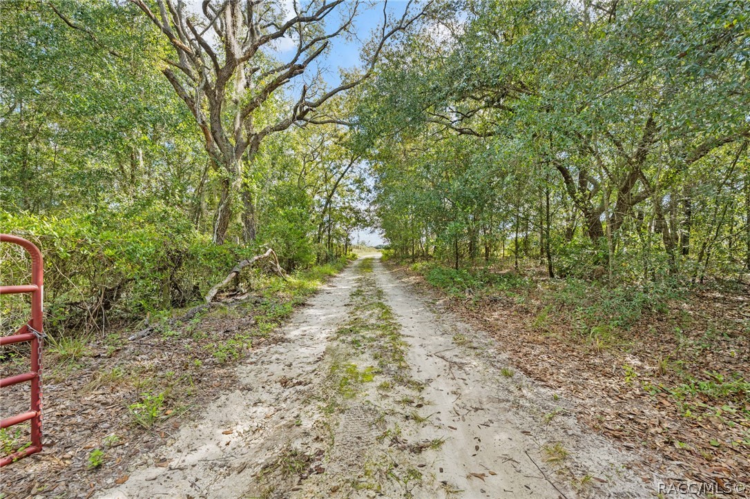 6101 S Nutshell Terrace, Lecanto, FL 34461