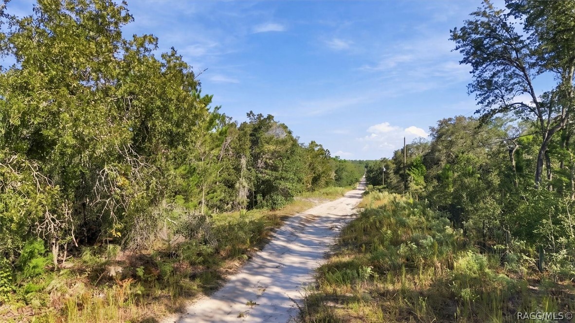 1899 W Cardinal Street, Lecanto, FL 34461