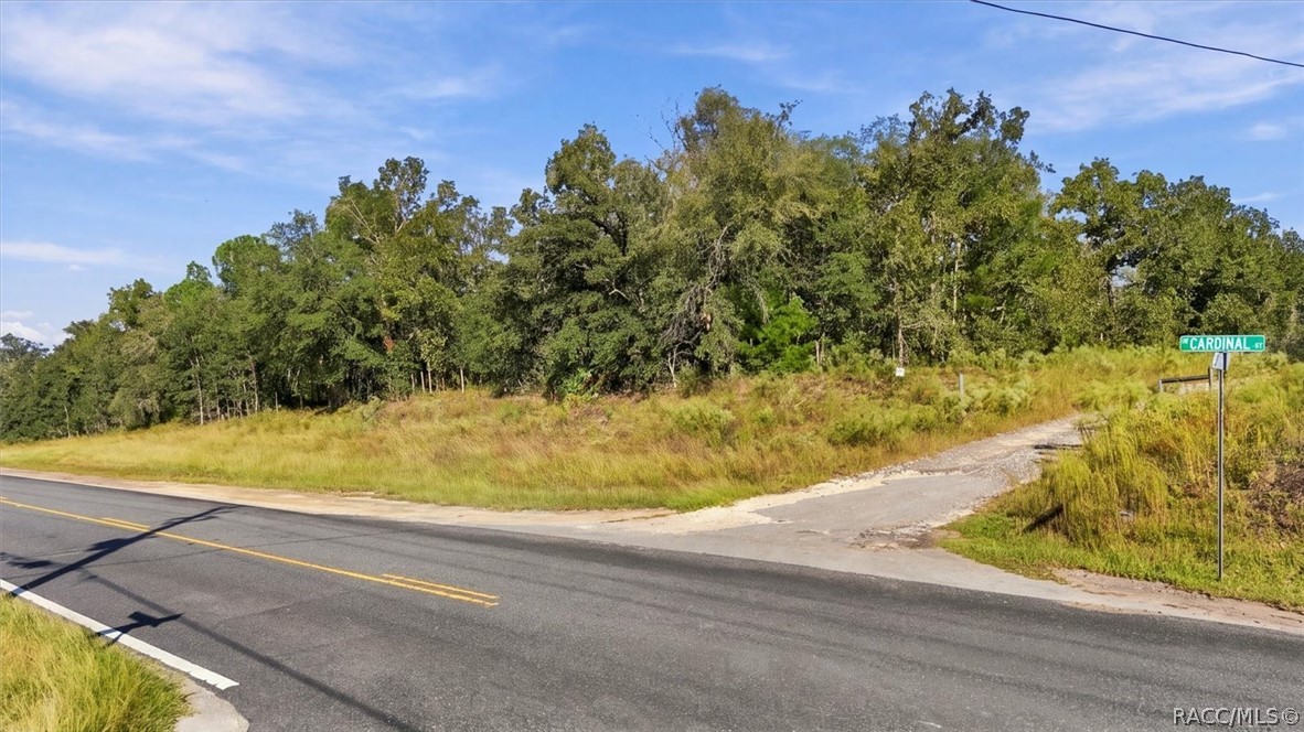 1899 W Cardinal Street, Lecanto, FL 34461