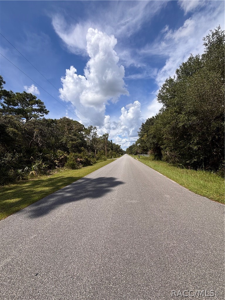 1072 S Candlenut Avenue, Homosassa, FL 34448
