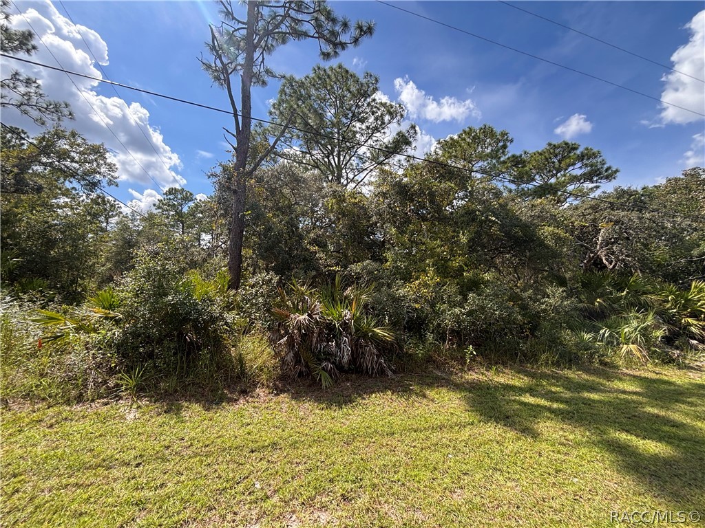 1072 S Candlenut Avenue, Homosassa, FL 34448