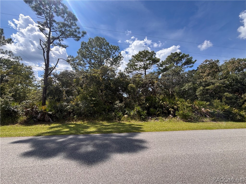 1072 S Candlenut Avenue, Homosassa, FL 34448 1072 S Candlenut Avenue, Homosassa, FL 34448