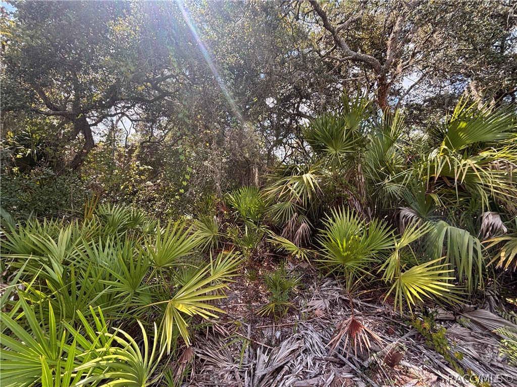 1072 S Candlenut Avenue, Homosassa, FL 34448
