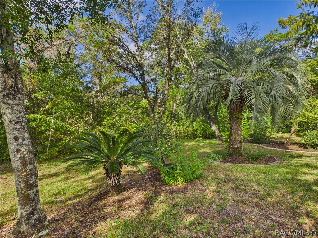 1 Salvia Court W, Homosassa, FL 34446