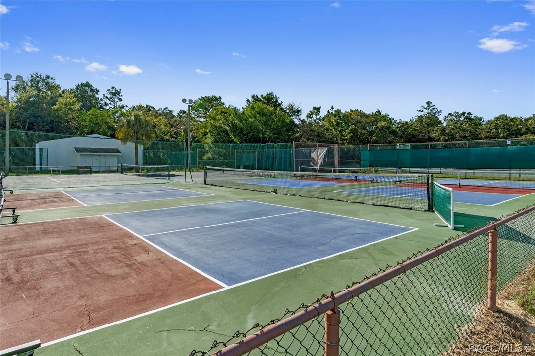 Pickleball Court