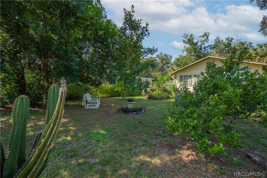 10425 E Pintail Drive, Floral City, FL 34436
