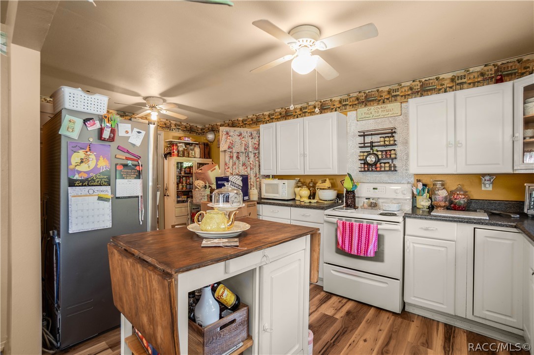 10425 E Pintail Drive, Floral City, FL 34436