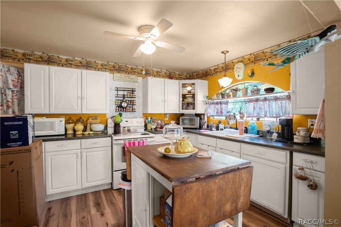 10425 E Pintail Drive, Floral City, FL 34436