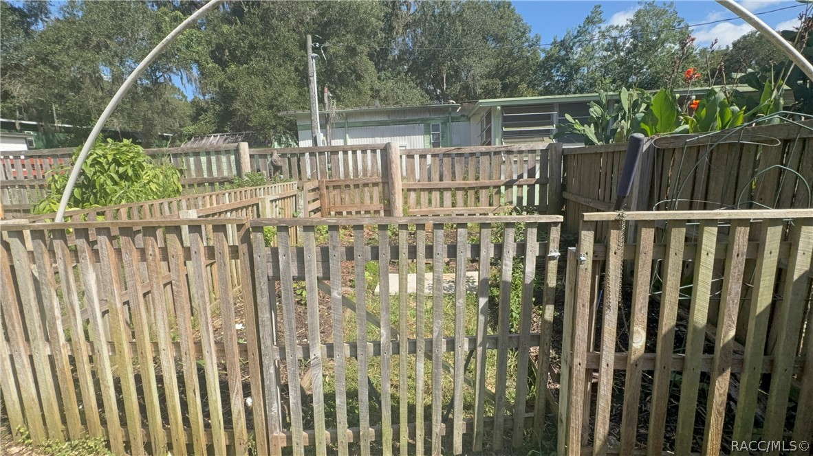 Veggie garden!