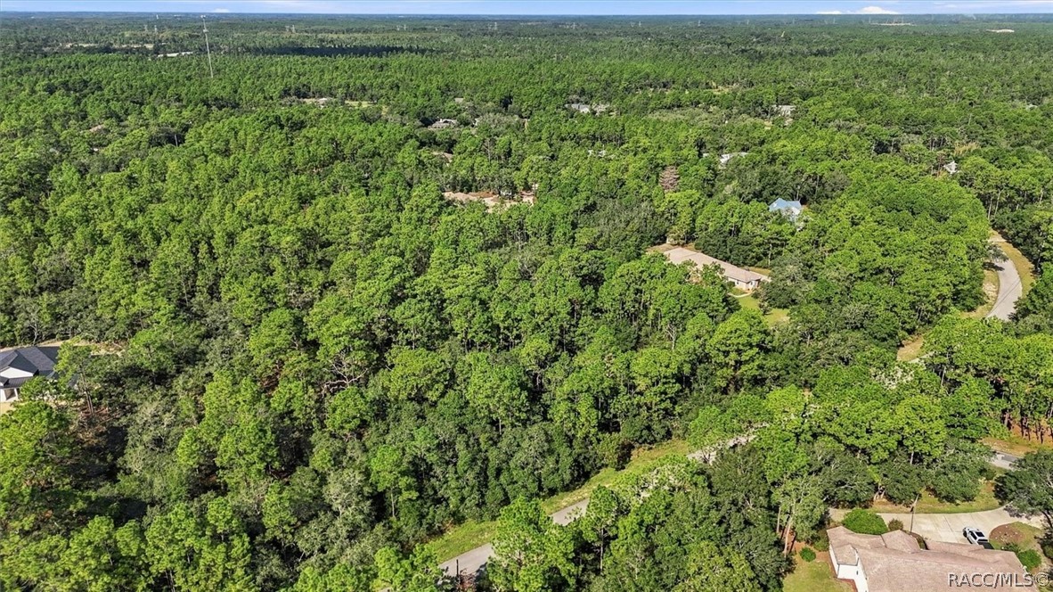 6096 W Ponderosa Place, Beverly Hills, FL 34465