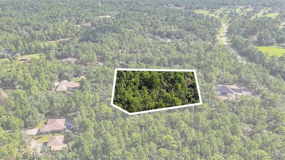 6096 W Ponderosa Place, Beverly Hills, FL 34465