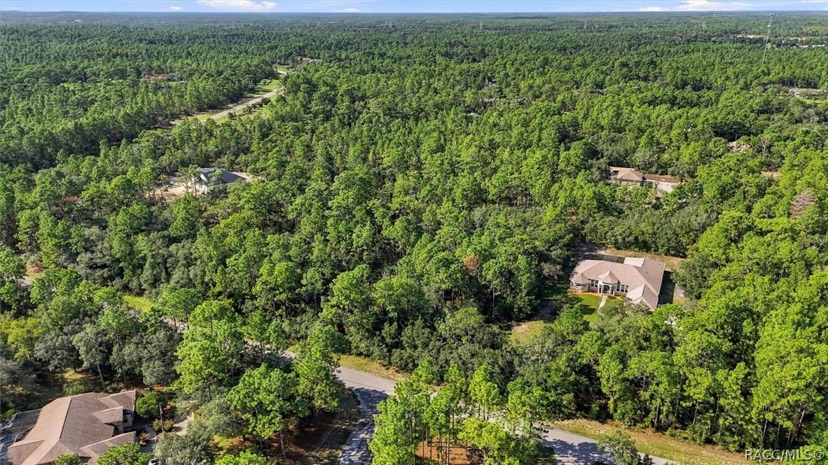 6096 W Ponderosa Place, Beverly Hills, FL 34465
