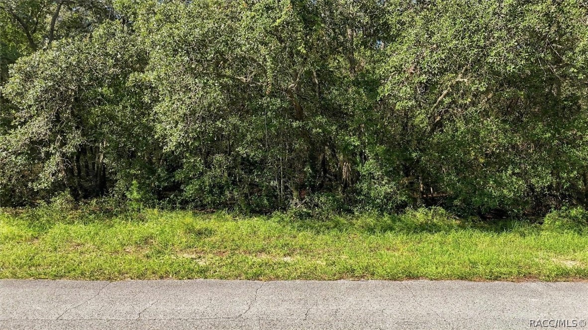 6096 W Ponderosa Place, Beverly Hills, FL 34465
