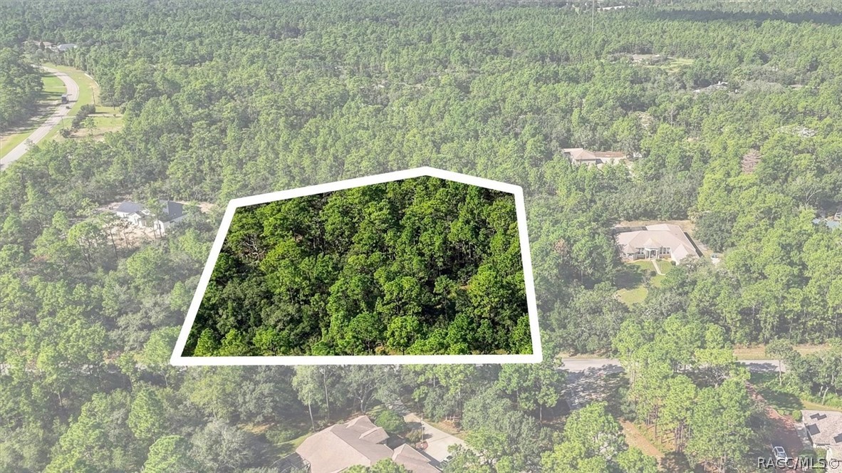 6096 W Ponderosa Place, Beverly Hills, FL 34465 6096 W Ponderosa Place, Beverly Hills, FL 34465