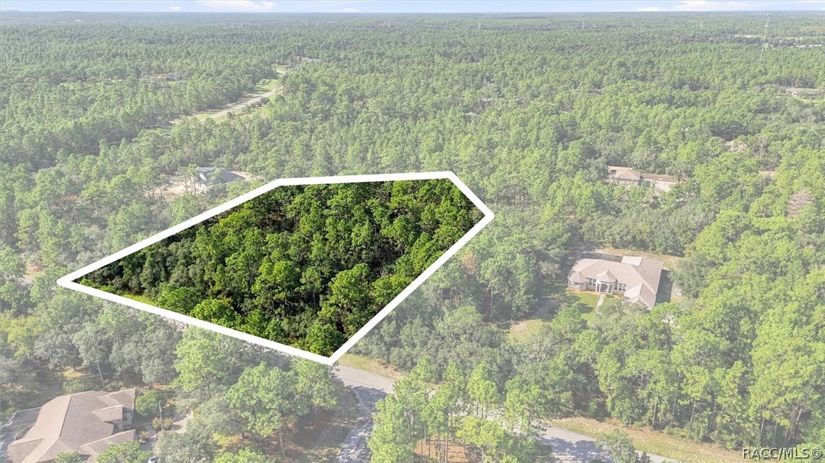 6096 W Ponderosa Place, Beverly Hills, FL 34465 6096 W Ponderosa Place, Beverly Hills, FL 34465