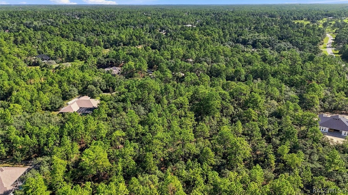 6096 W Ponderosa Place, Beverly Hills, FL 34465