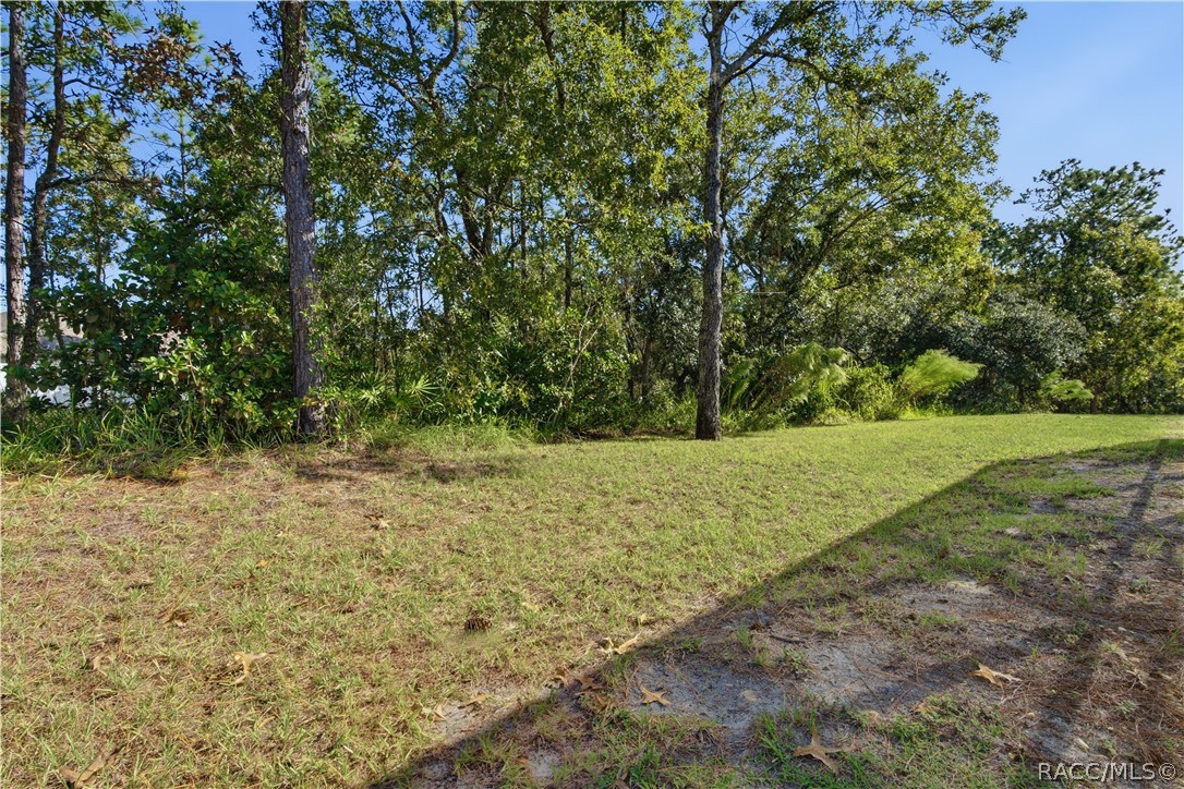 132 Linder Drive, Homosassa, FL 34446