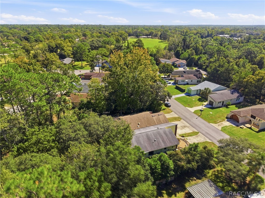 10 Chinaberry Circle, Homosassa, FL 34446