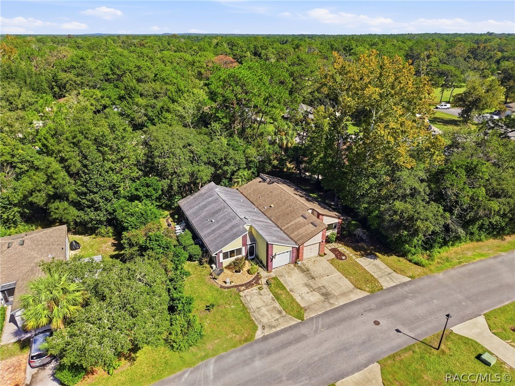 10 Chinaberry Circle, Homosassa, FL 34446