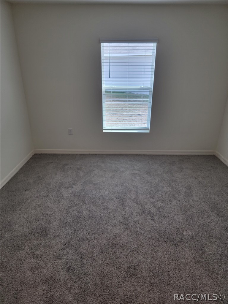 411 W Putting Green Court, Beverly Hills, FL 34465