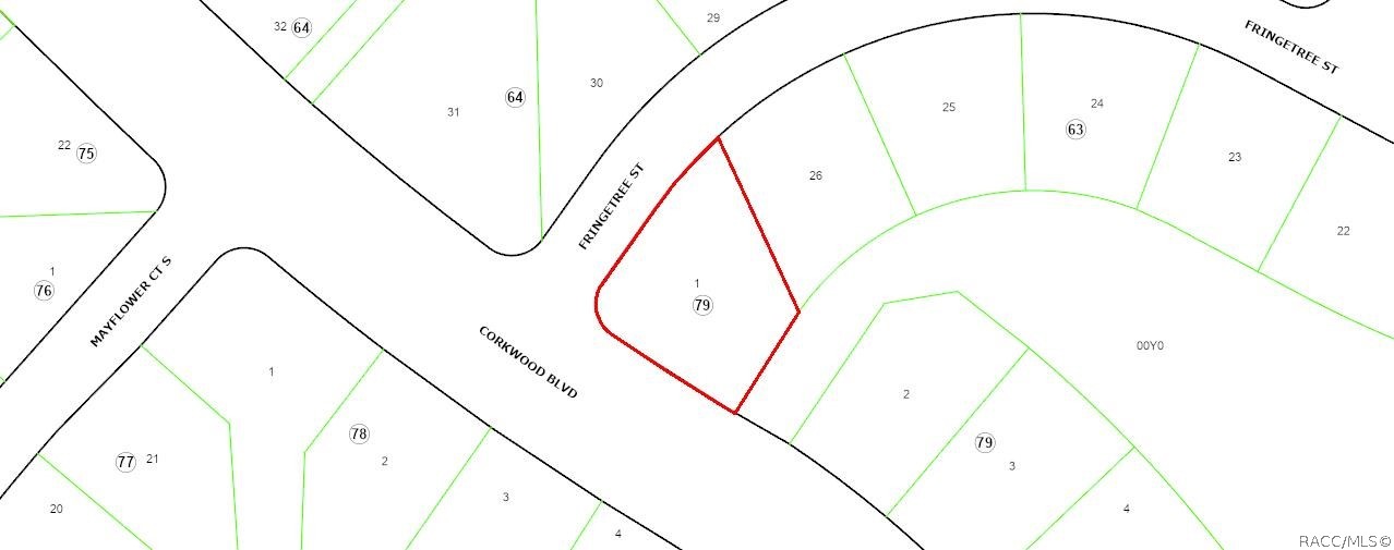 ANOTHER VIEW OF VACANT LAND LOCATION